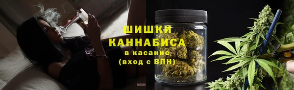 ALPHA-PVP Вяземский