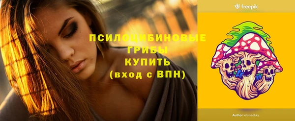 ALPHA-PVP Вяземский