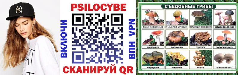 купить наркоту  Назарово  Псилоцибиновые грибы Psilocybe 